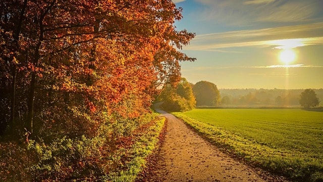 Roman Lausberg startet in den Herbst