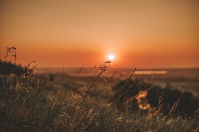 Dieser Sommer wird lang
