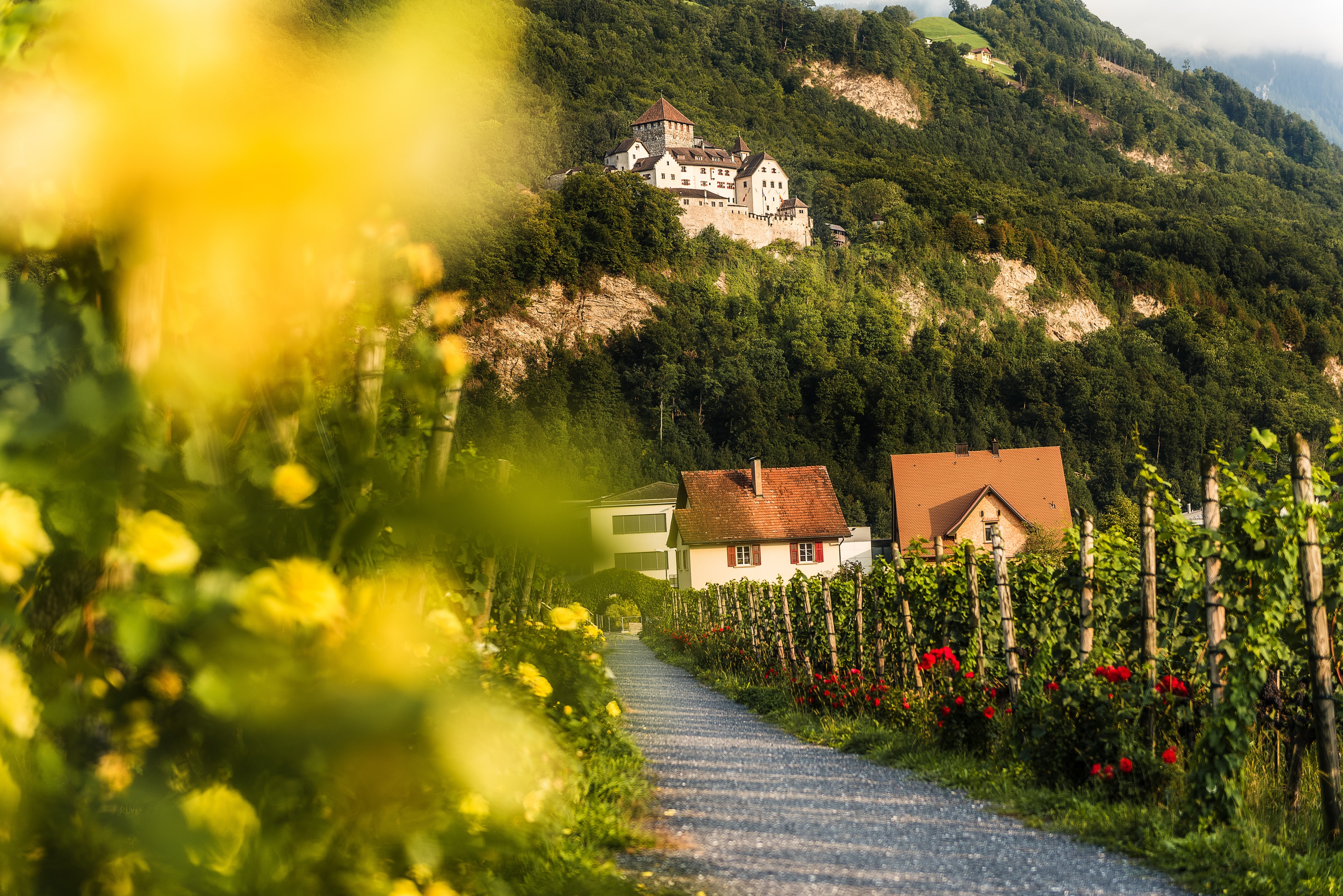 Unterwegs durch das Fürstentum Liechtenstein!