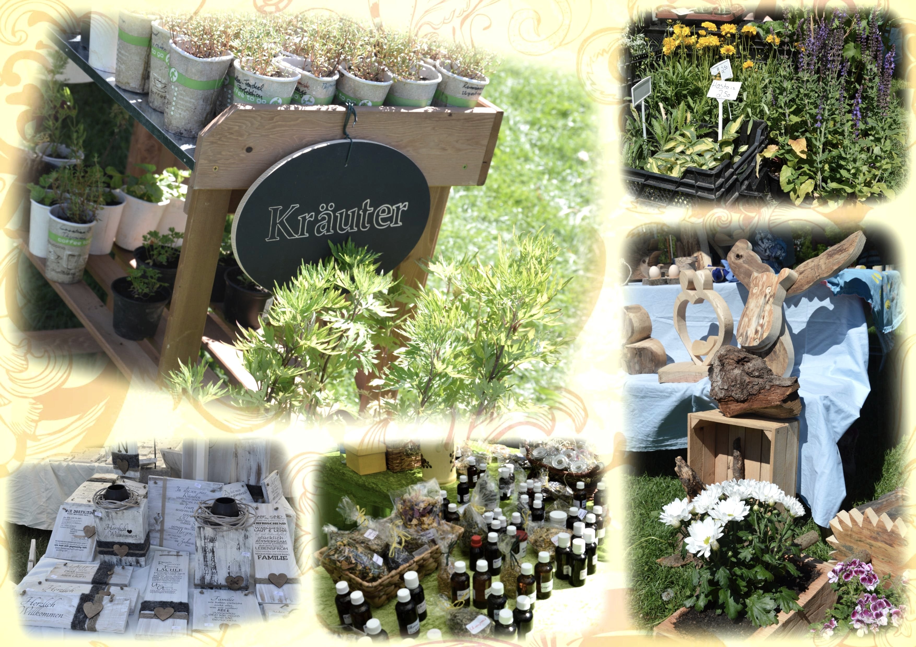 Die Natur entdecken beim „Eifeler Kräutertag“