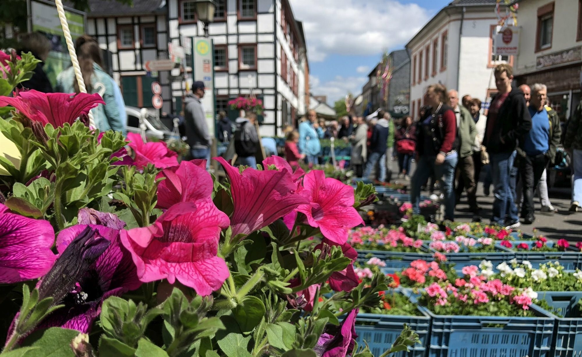 Frühlingsgefühle in Kommern