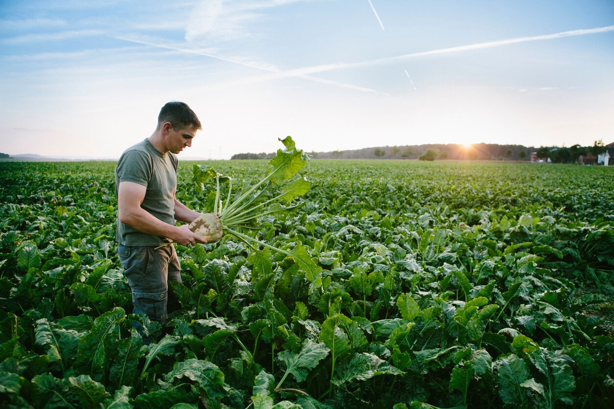 Landwirte befürchten Nachteile durch geplante EEG-Änderungen