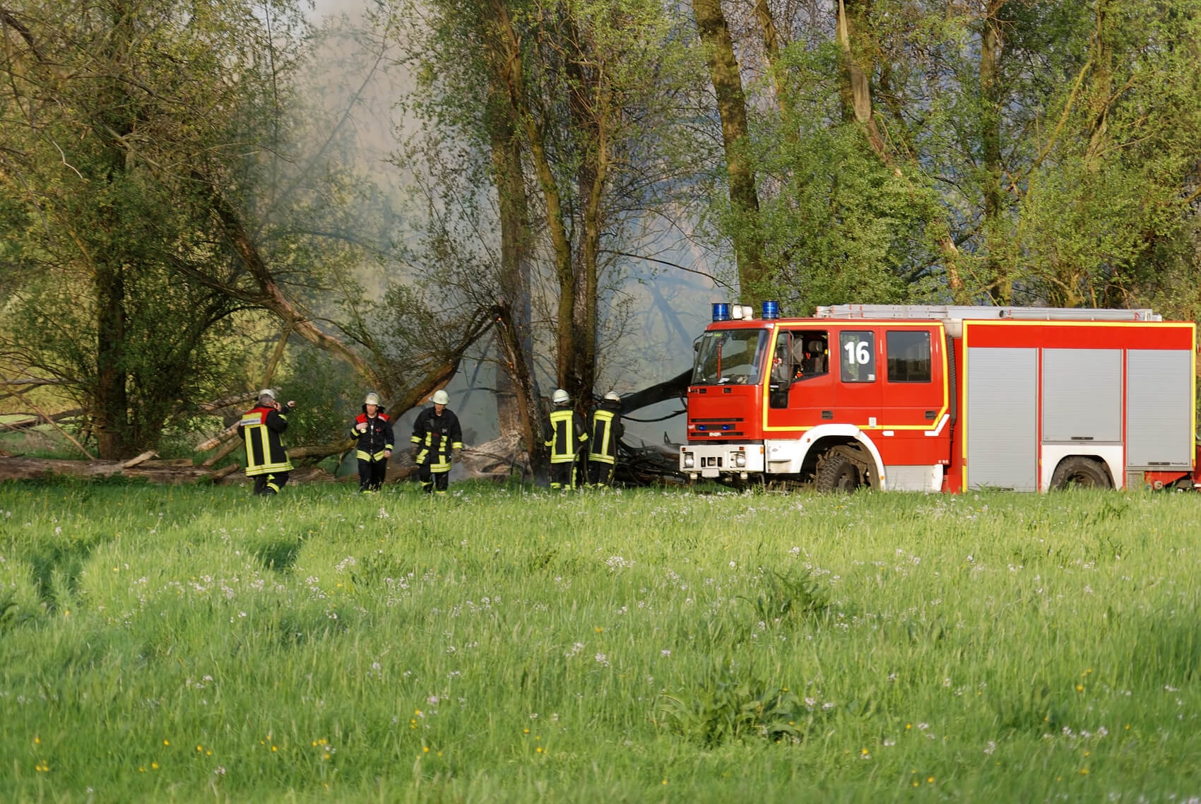 Feuer in Waldstück
