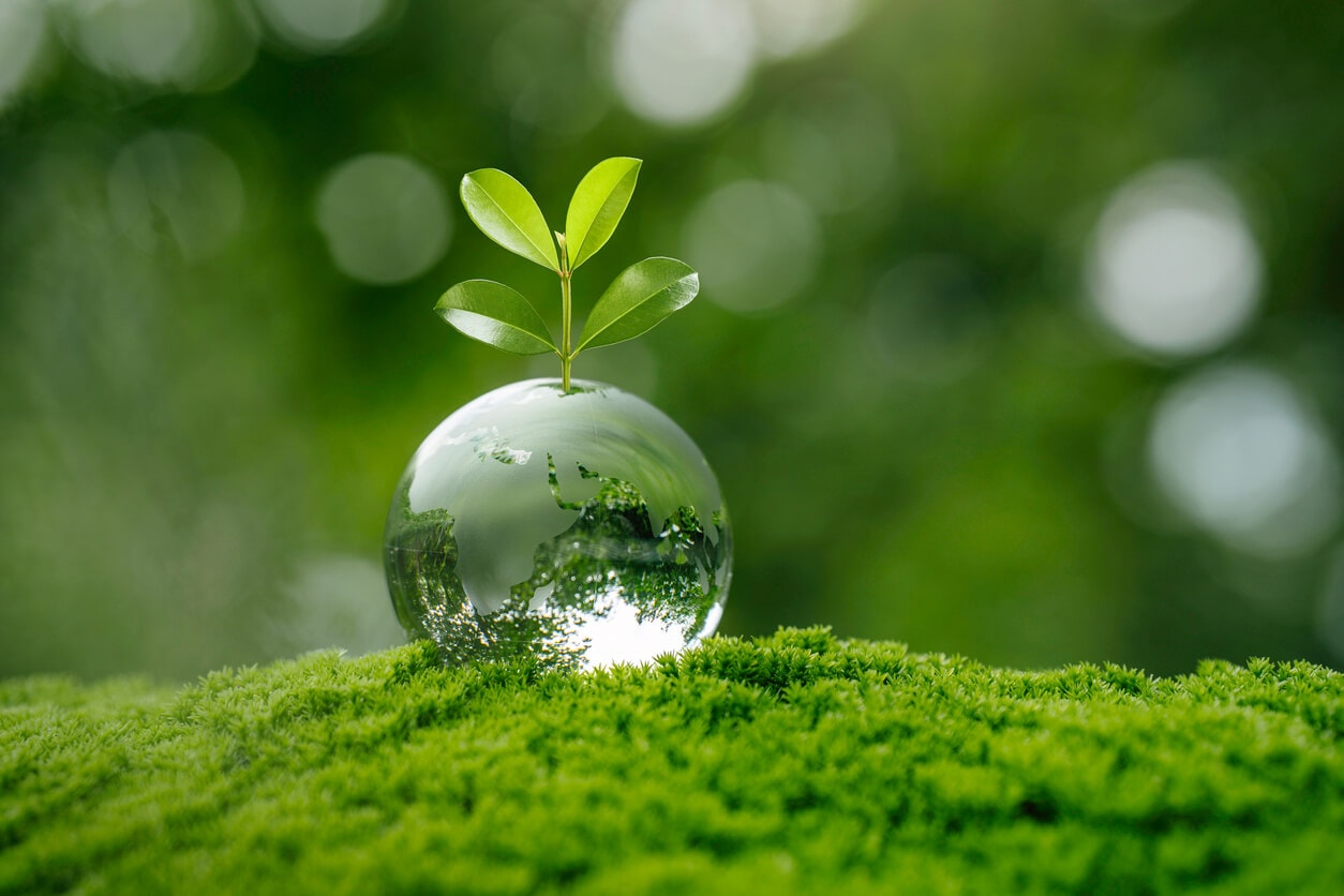 Umweltprojekt in Malmedy startet