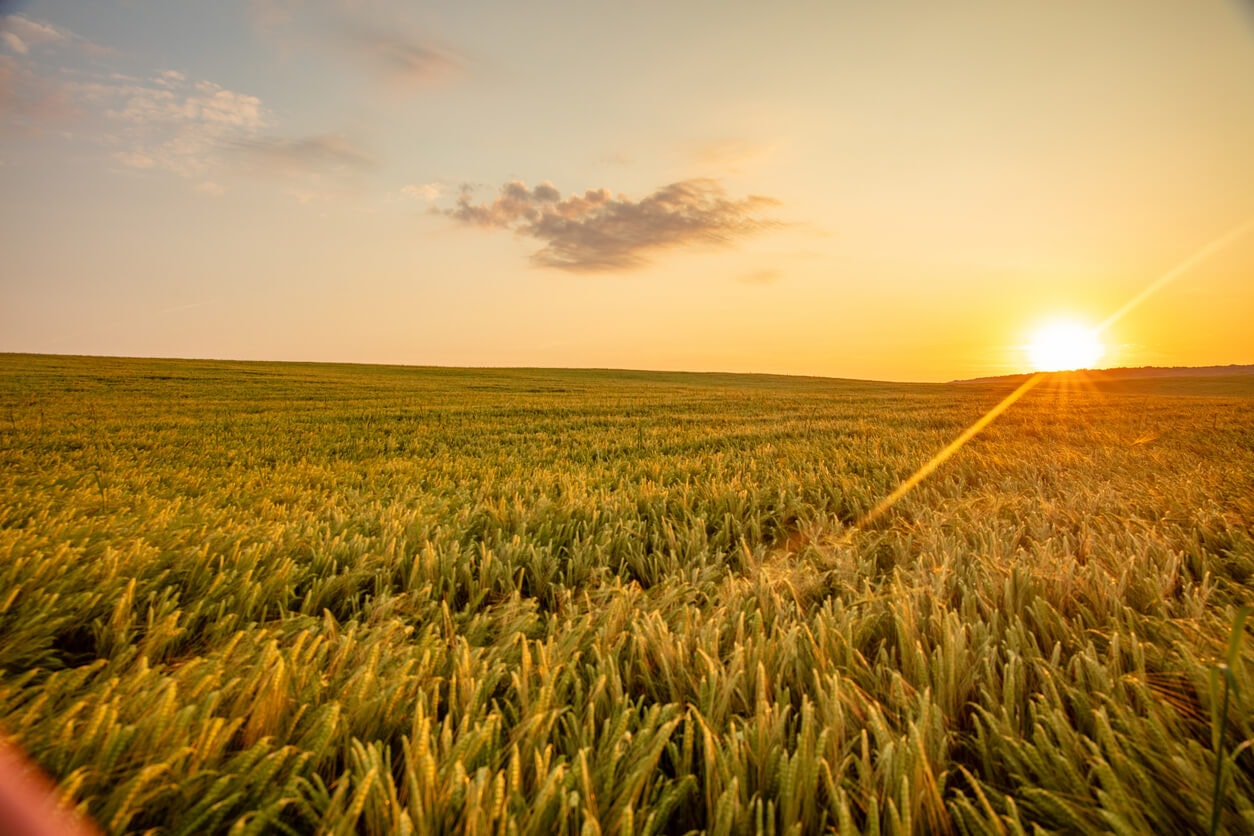 Missio richtet neuen Fonds ein