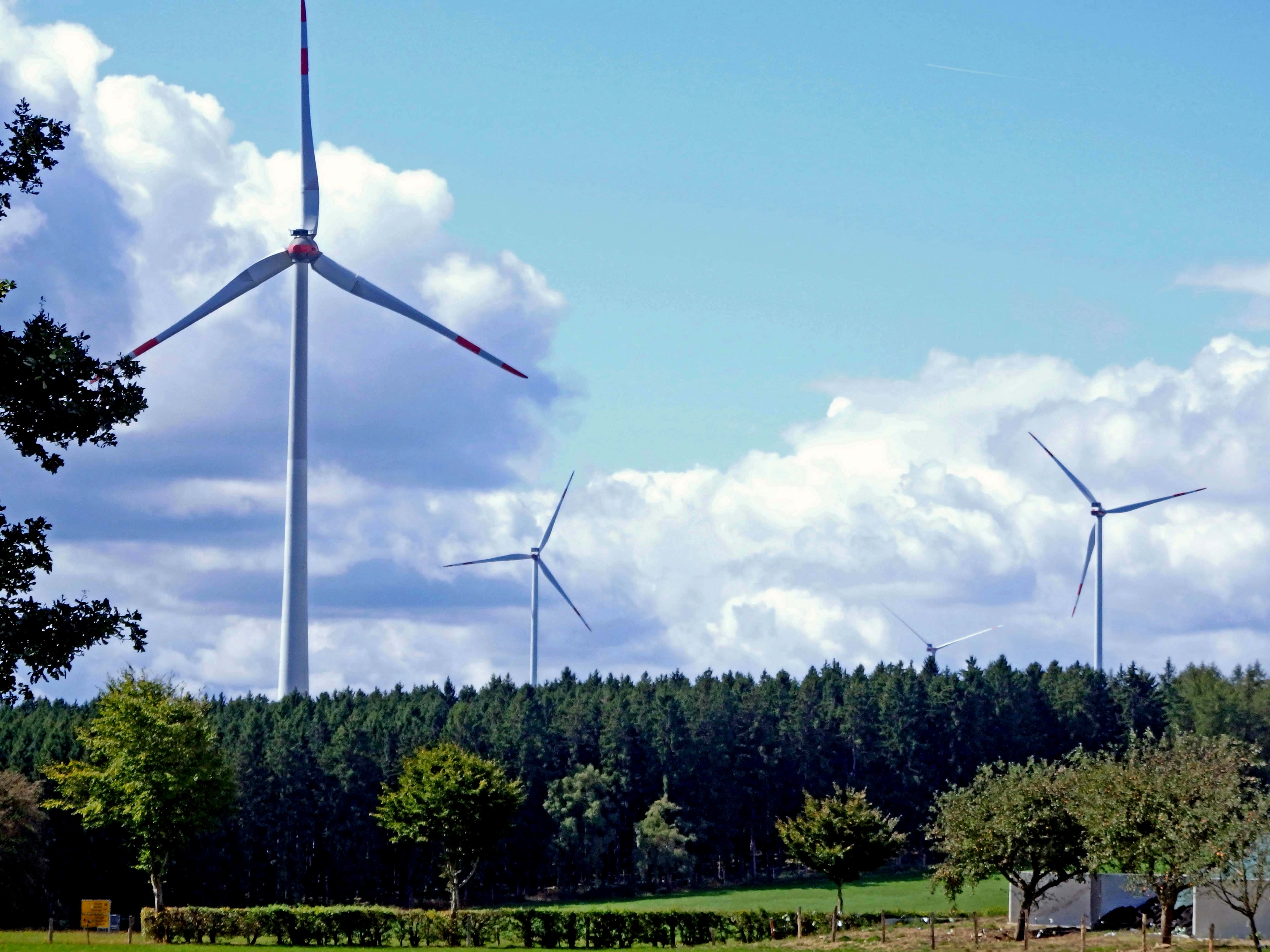 Windparkprojekt bei Stavelot erneut gestoppt