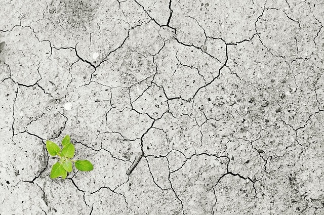 Viel zu wenig Regen in der Wallonie
