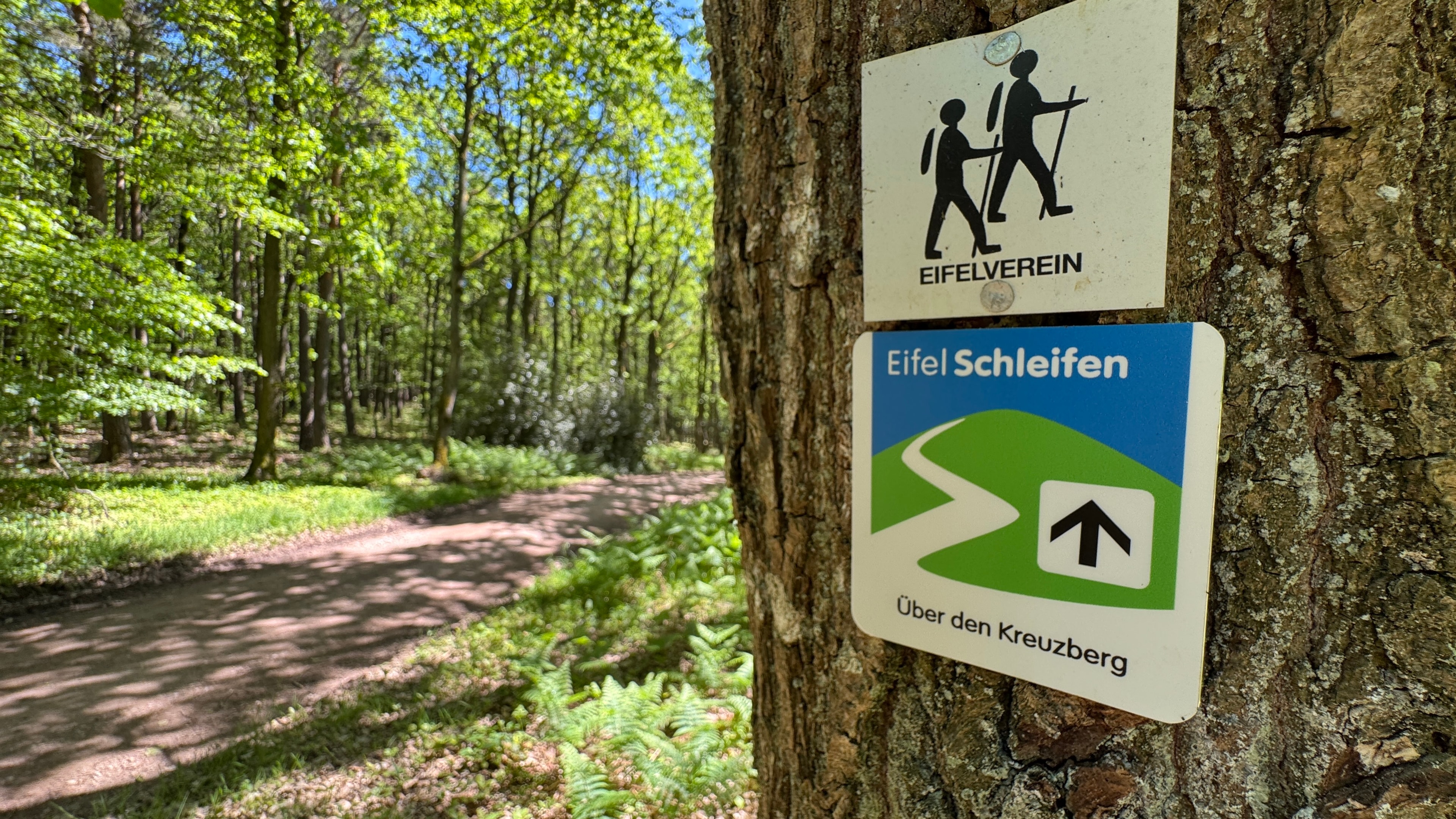 Elf weitere Eifelschleifen für Wanderer